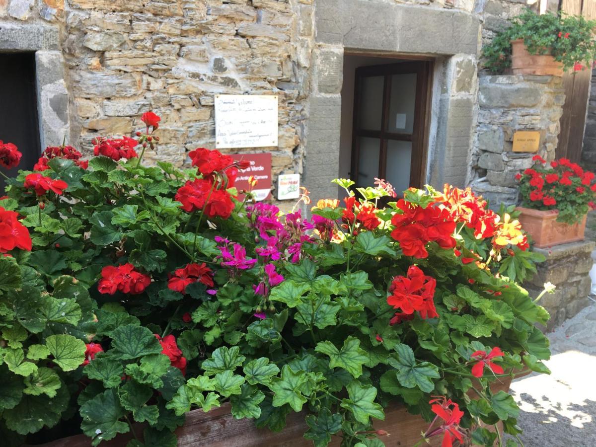 Apartmán Agriturismo Montagna Verde Apella Licciana Nardi Exteriér fotografie