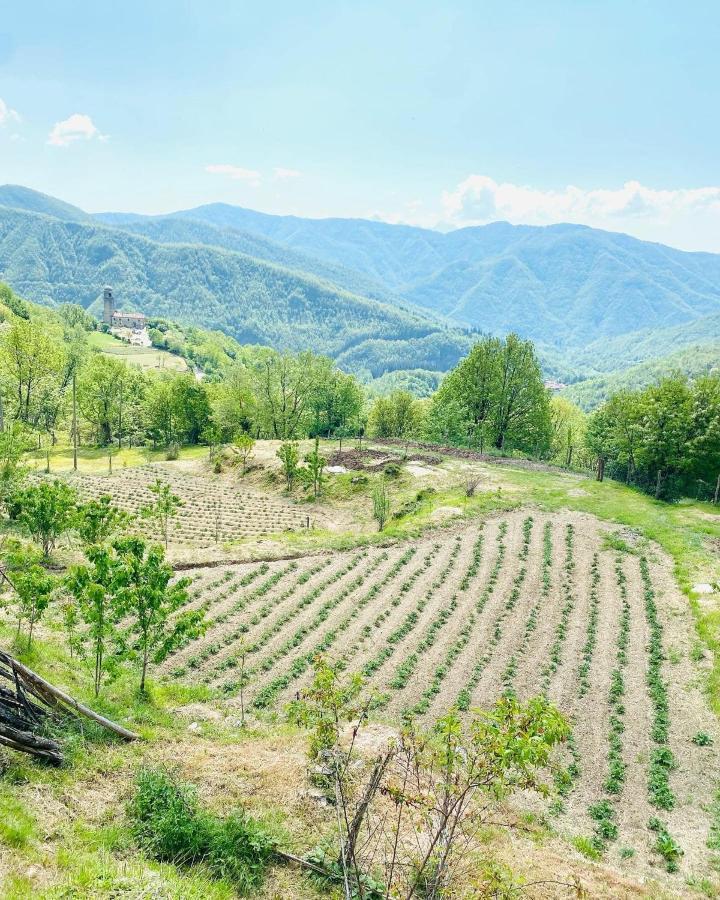 Apartmán Agriturismo Montagna Verde Apella Licciana Nardi Exteriér fotografie