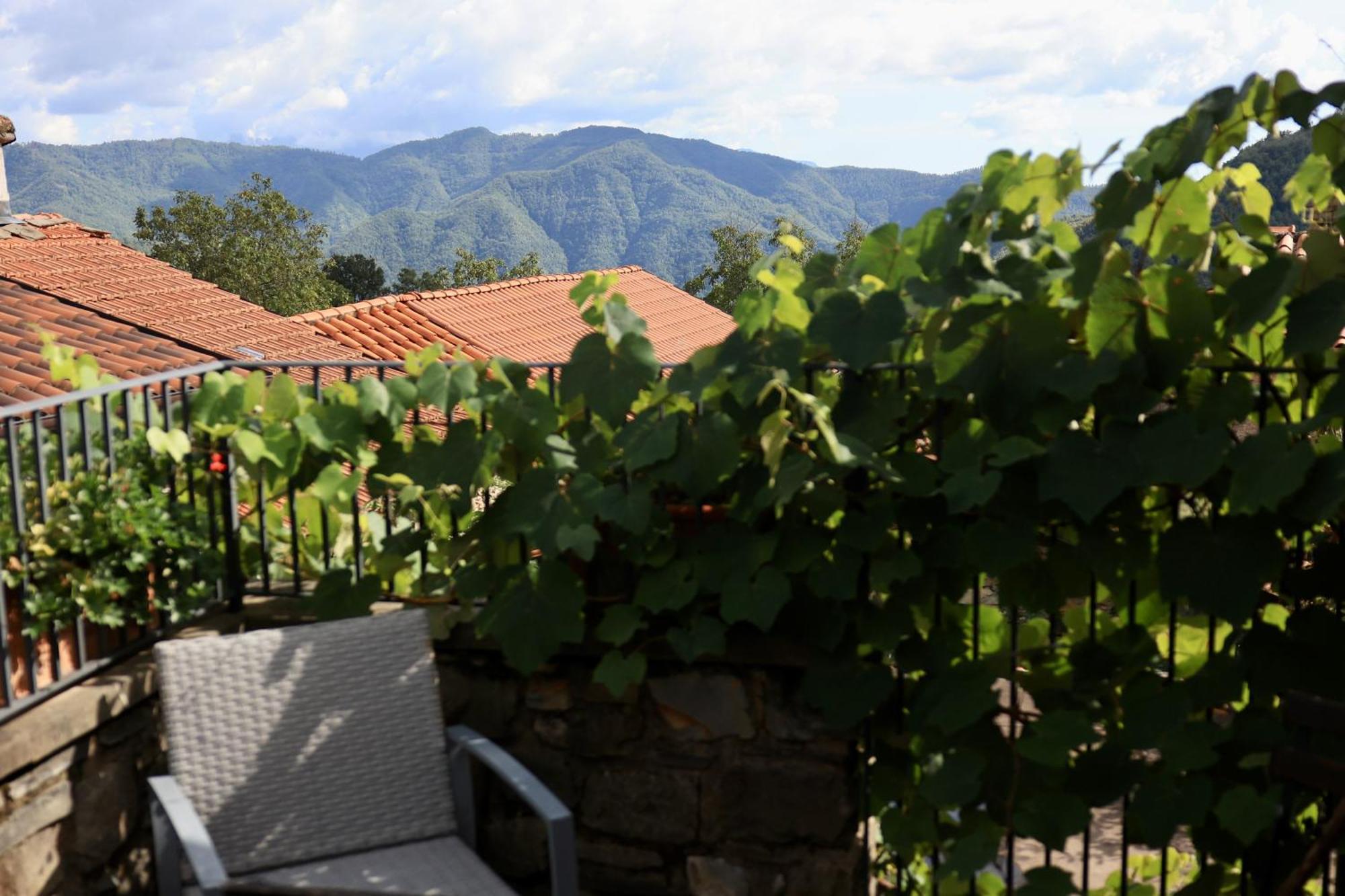 Agriturismo Montagna Verde Apella Licciana Nardi Exteriér fotografie