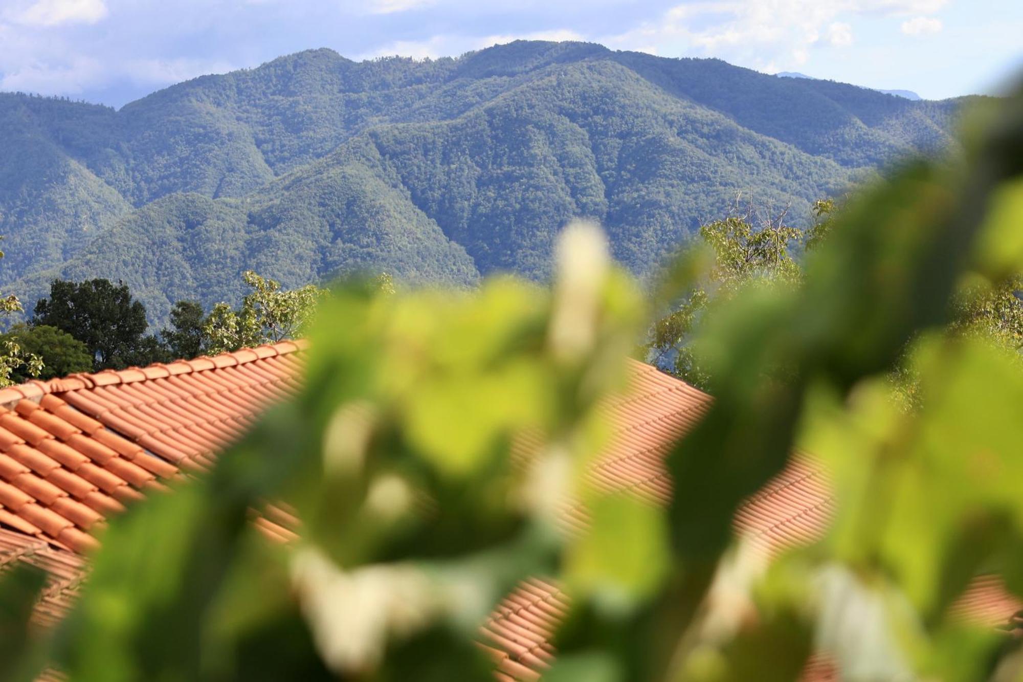 Agriturismo Montagna Verde Apella Licciana Nardi Exteriér fotografie