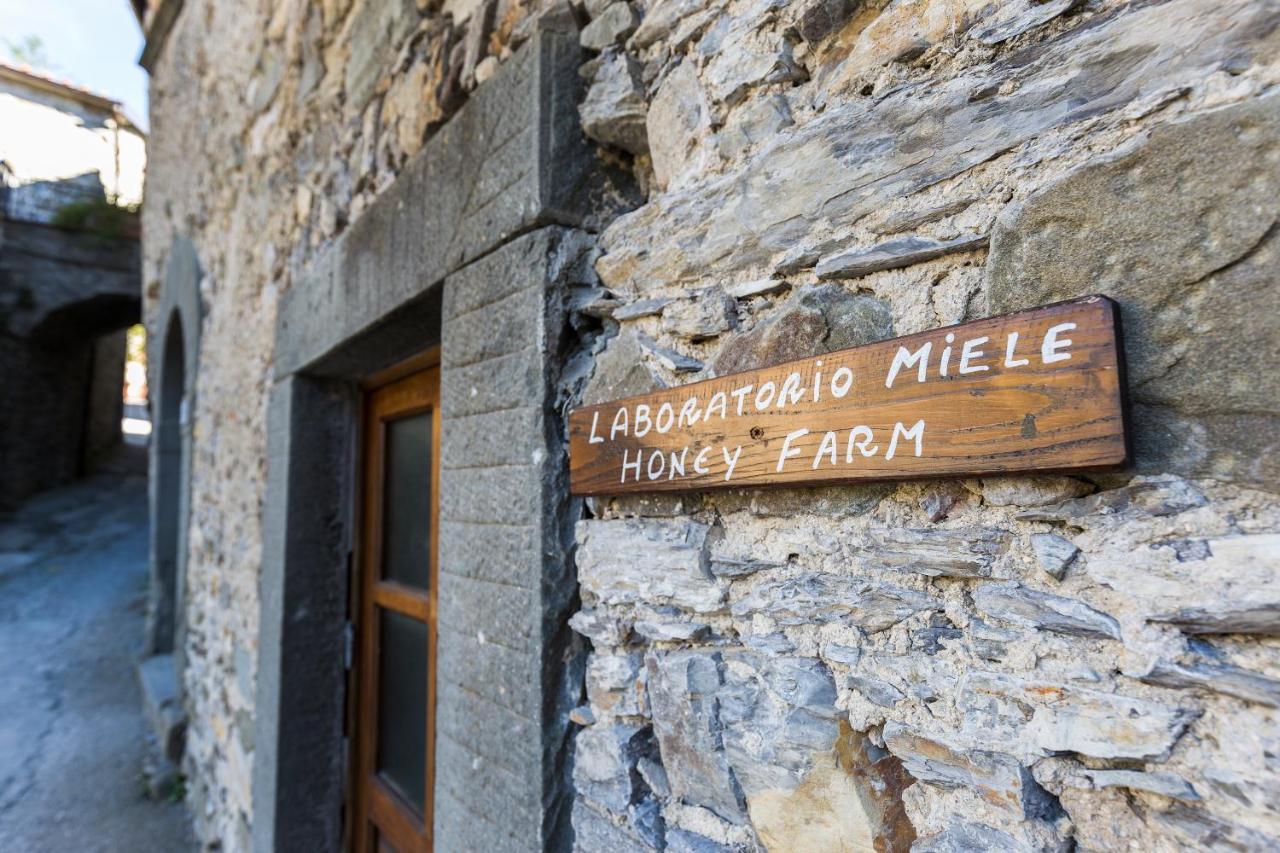 Apartmán Agriturismo Montagna Verde Apella Licciana Nardi Exteriér fotografie